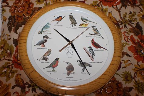 puf yona|Proper Ways to Clock Birds .